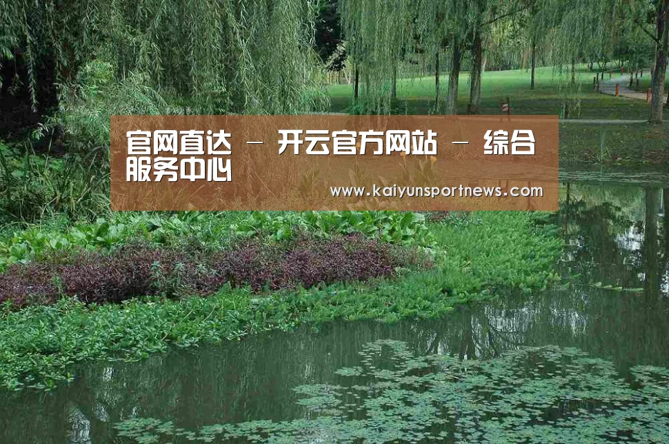 案例展示一(图1)