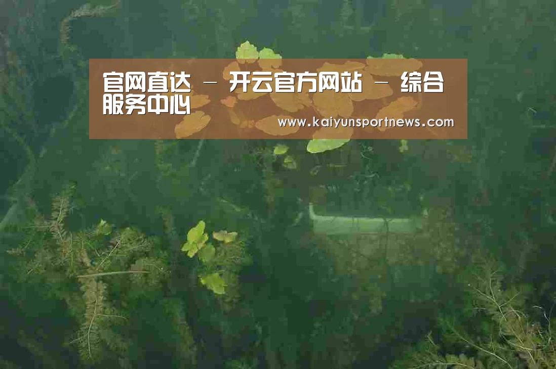 案例展示三(图1)