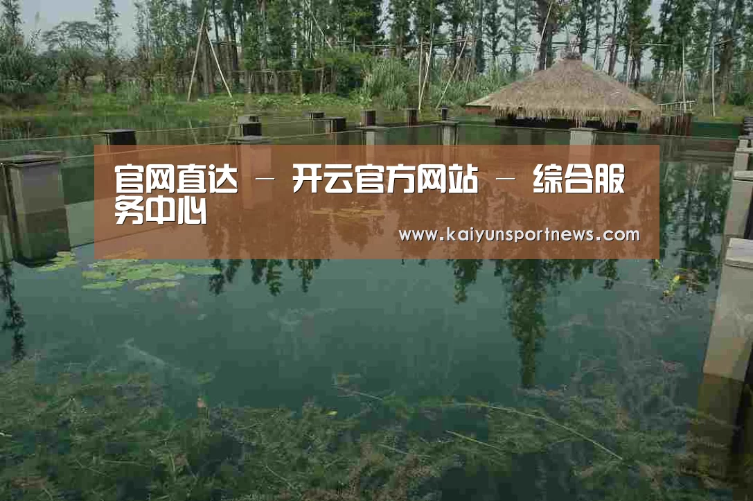 案例展示二(图1)