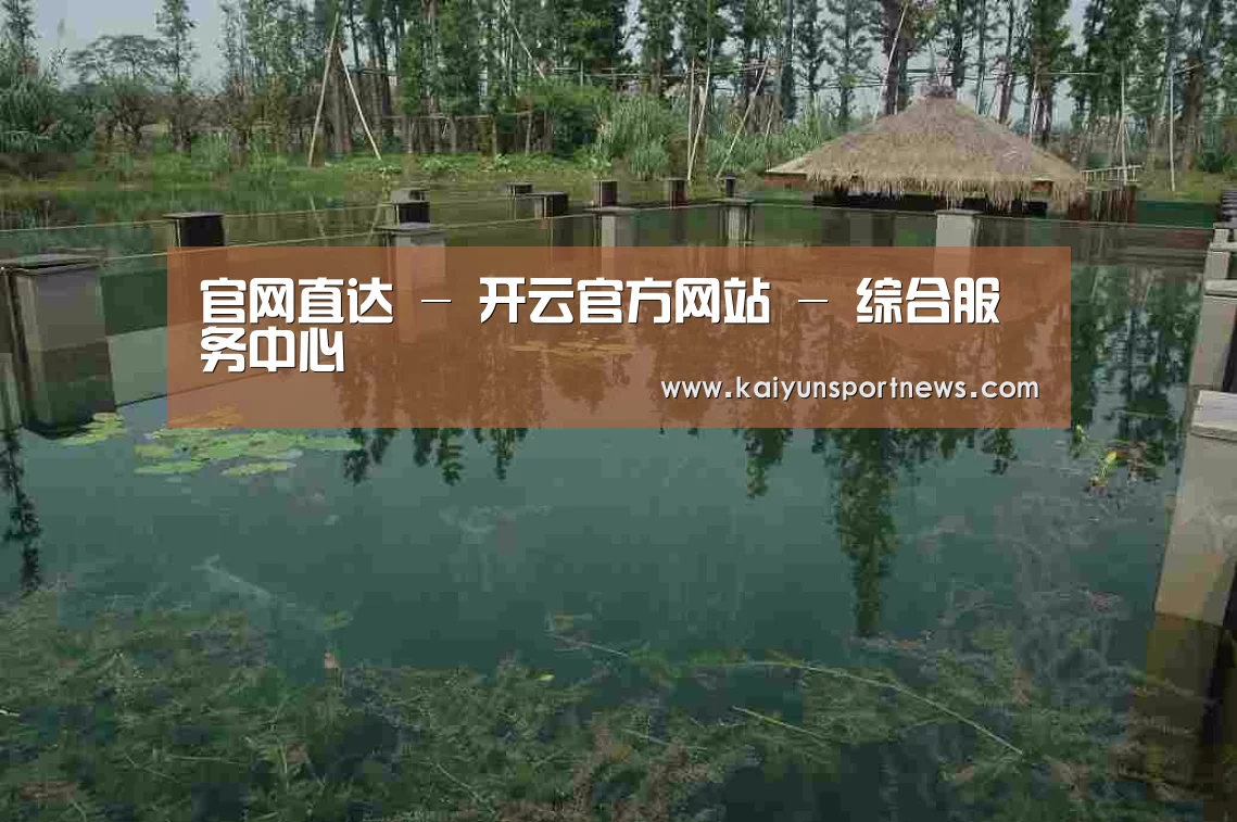 案例展示二