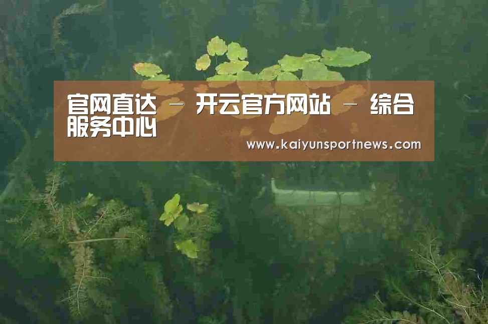 案例展示三