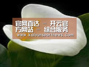 产品名称七