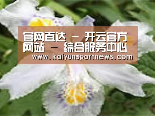 产品名称二