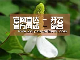 产品名称三