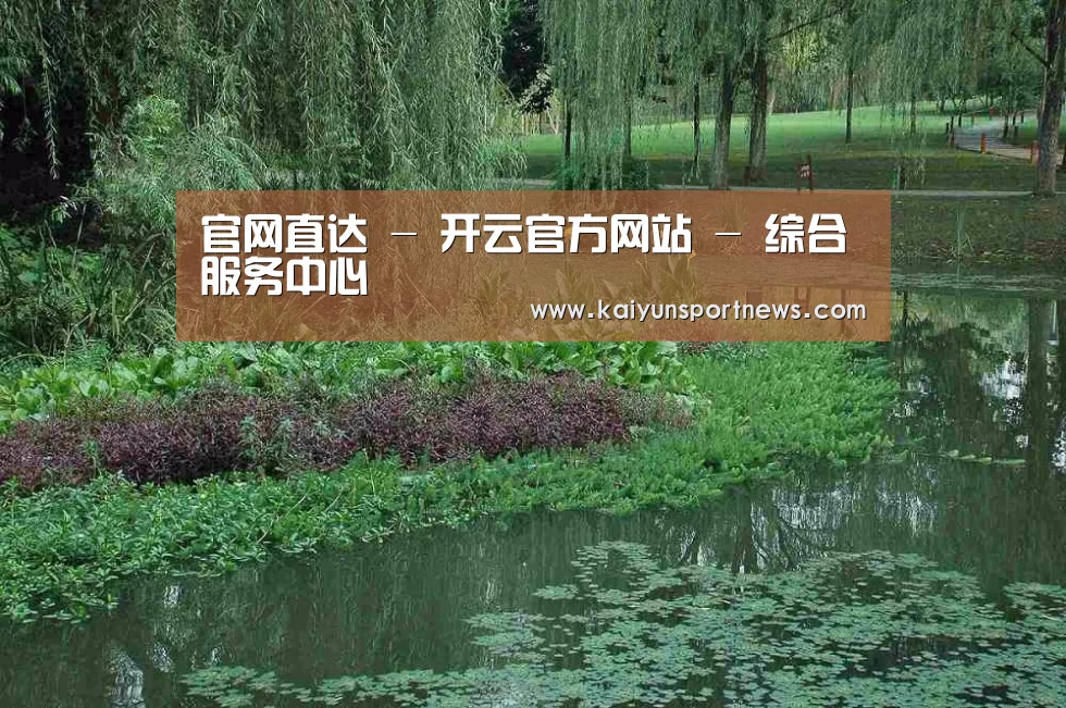 案例展示一
