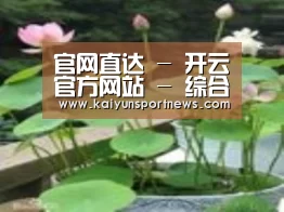 产品名称一