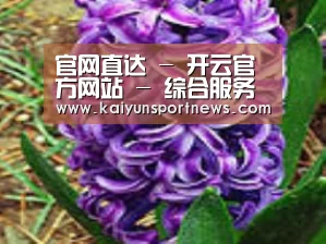 产品名称八