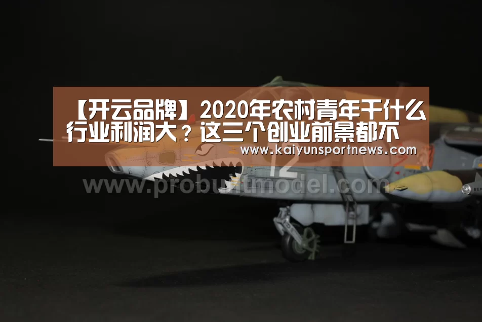 【开云品牌】2020年农村青年干什么行业利润大?这三个创业前景都不错!(图3) 开云品牌