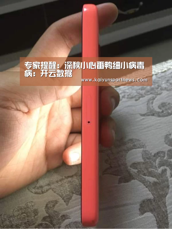 开云视讯