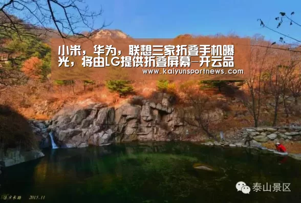 开云官网