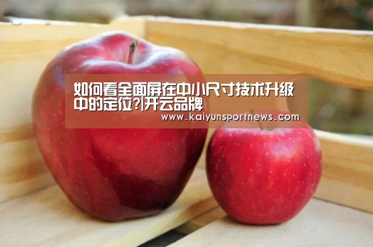 如何看全面屏在中小尺寸技术升级中的定位?|开云品牌(图1) 开云官网