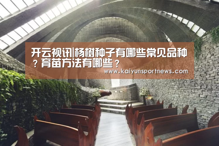 开云视讯|杨树种子有哪些常见品种?育苗方法有哪些?(图3) 开云数据