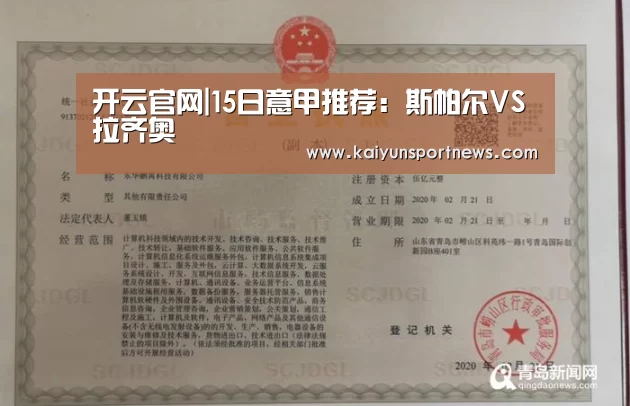 开云视讯