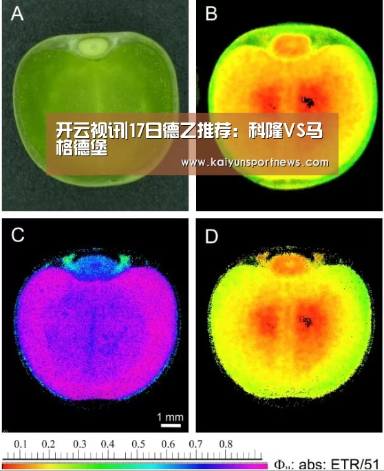 开云视讯|17日德乙推荐:科隆VS马格德堡(图2) 开云品牌
