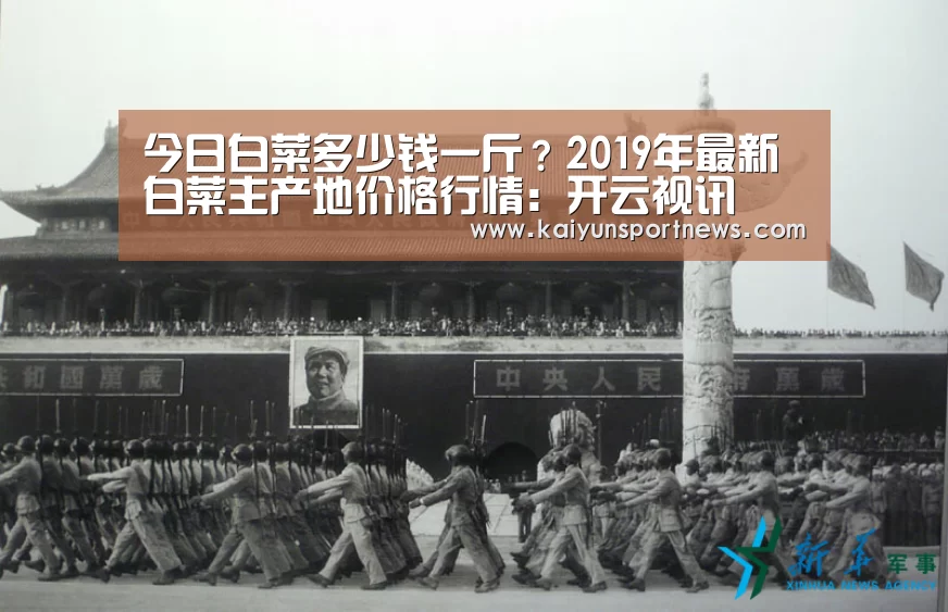 今日白菜多少钱一斤?2019年最新白菜主产地价格行情:开云视讯(图2) 开云官网