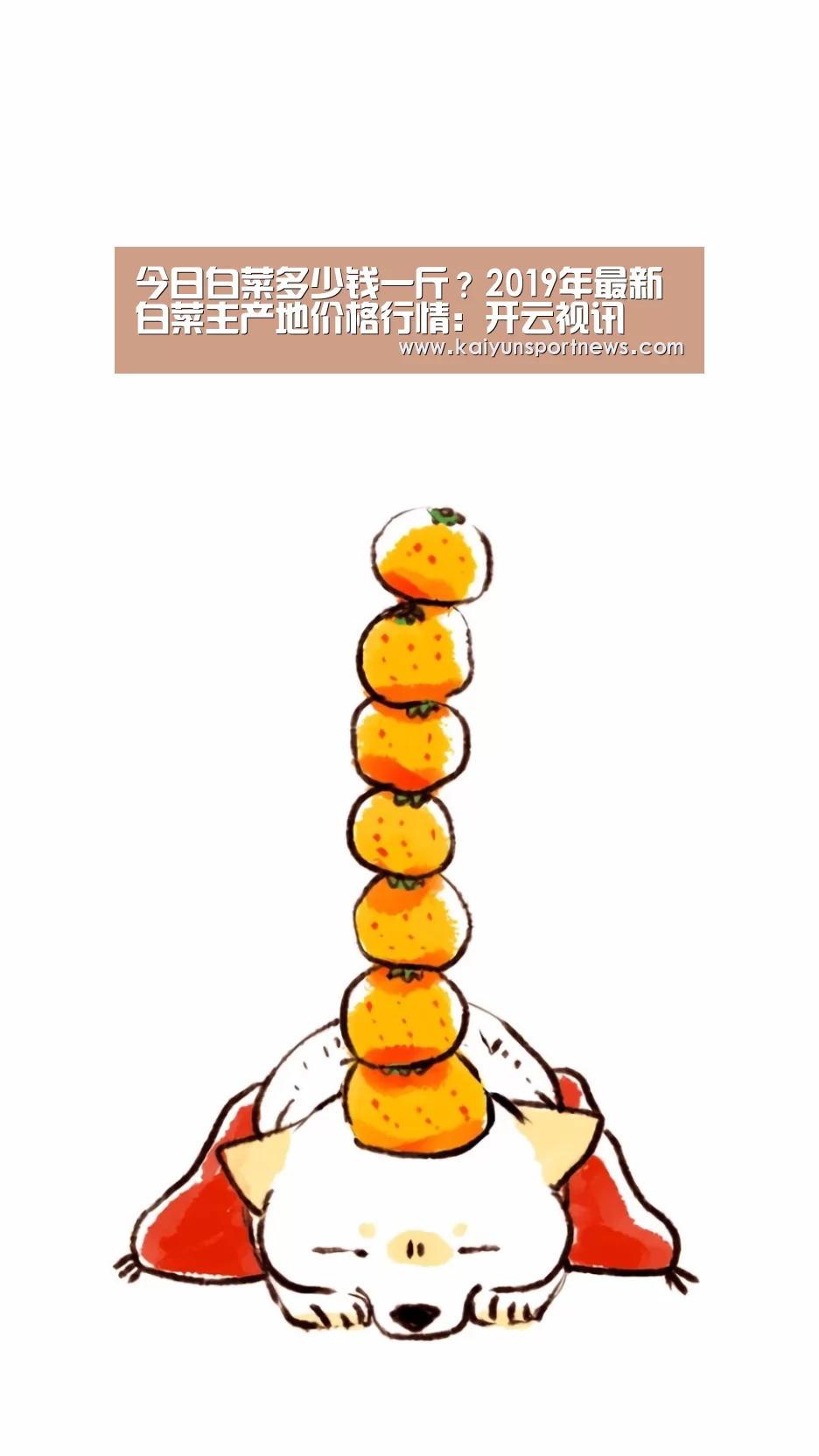 今日白菜多少钱一斤?2019年最新白菜主产地价格行情:开云视讯(图3) 开云品牌