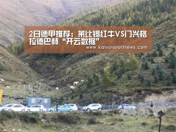 开云数据