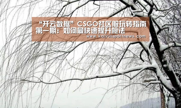 “开云数据”CSGO社区服玩转指南第一期:如何最快速提升枪法(图1) 开云品牌