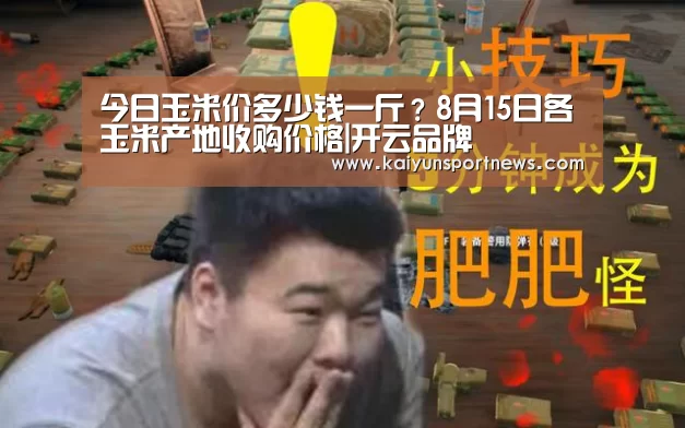 今日玉米价多少钱一斤?8月15日各玉米产地收购价格|开云品牌(图1) 开云数据