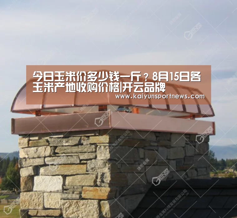 今日玉米价多少钱一斤?8月15日各玉米产地收购价格|开云品牌(图2) 开云官网