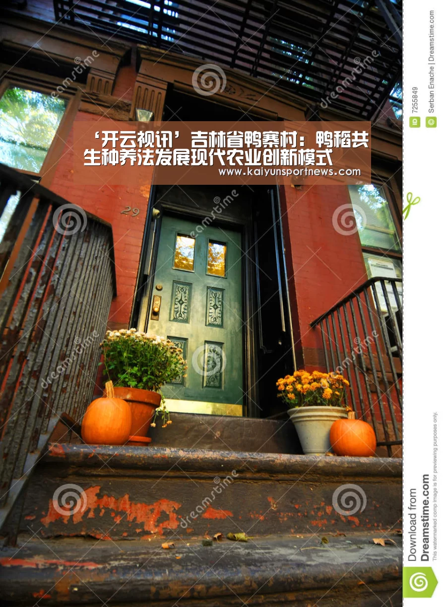 ‘开云视讯’吉林省鸭寨村:鸭稻共生种养法发展现代农业创新模式(图1) 开云数据