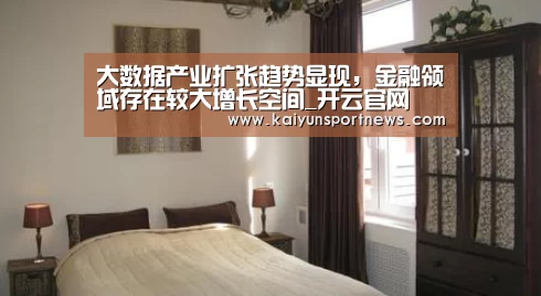 大数据产业扩张趋势显现,金融领域存在较大增长空间_开云官网(图1) 开云视讯