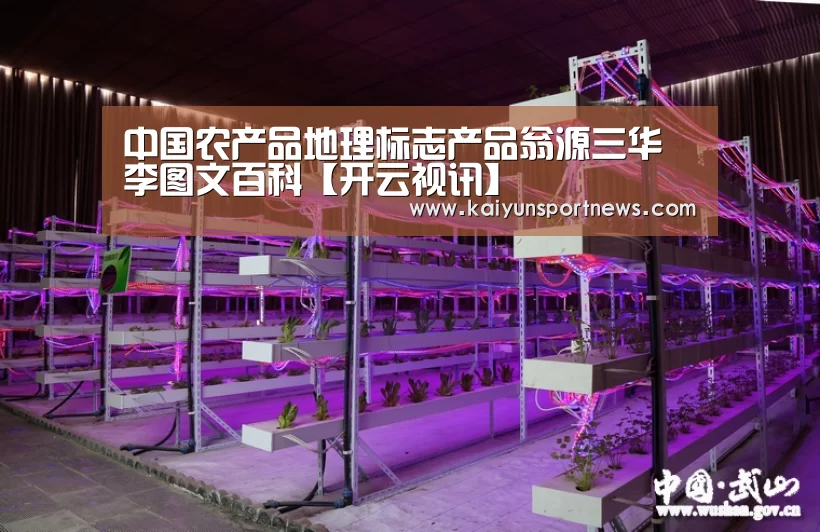 中国农产品地理标志产品翁源三华李图文百科【开云视讯】(图1) 开云视讯