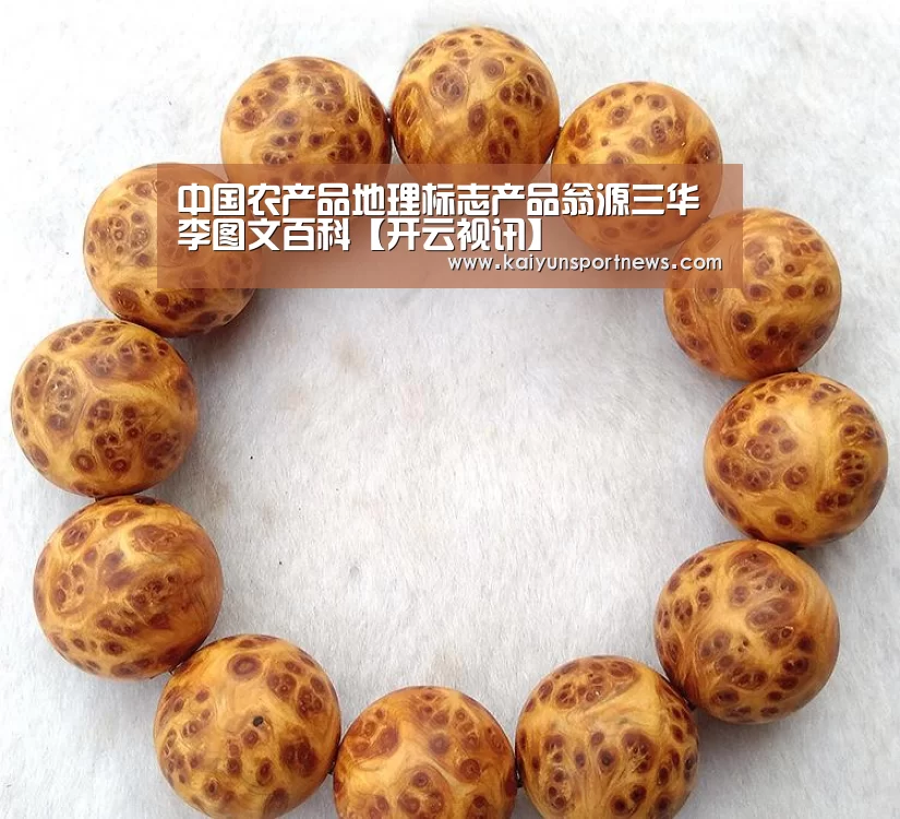 中国农产品地理标志产品翁源三华李图文百科【开云视讯】(图2) 开云视讯