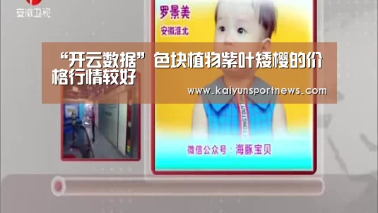 “开云数据”色块植物紫叶矮樱的价格行情较好(图2) 开云品牌