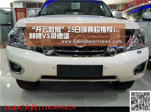 “开云数据”25日瑞典超推荐:赫根VS哥德堡(图1) 开云数据