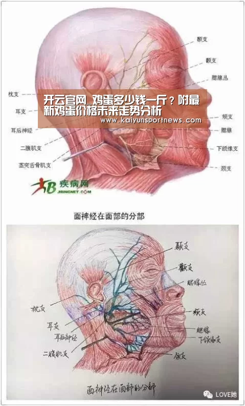开云品牌