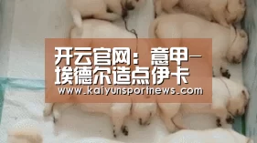 开云官网:意甲-埃德尔造点伊卡尔迪扳平 国米1-1连胜终结(图1) 开云官网